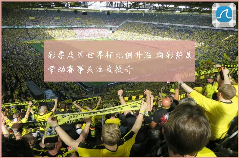 彩票店买世界杯比例升温 购彩热度带动赛事关注度提升